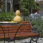 garden Ostria 47 1200x800 429x600 1 1 150x150